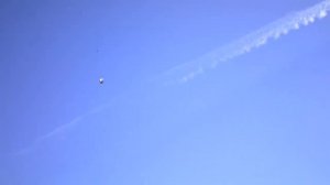 Бойные голуби КАЗАХСТАНА.Сегодня утром.Начинается линька.
