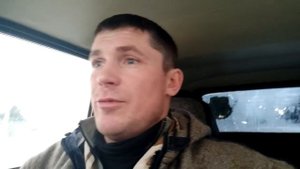 ВОЛКИ СНОВА ХУЛИГАНЯТ