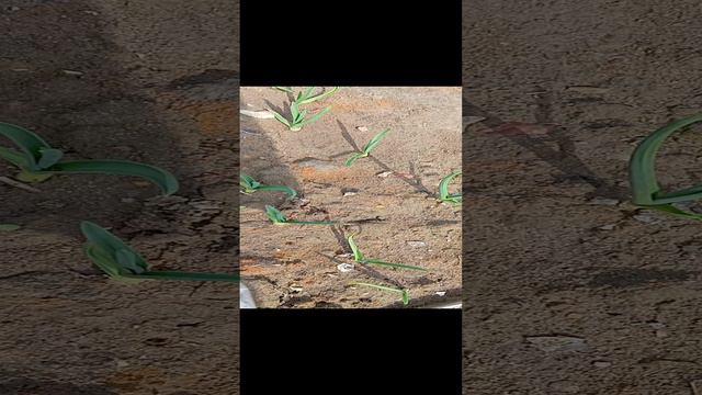 1000007898.mp4