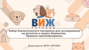 «ВИЖ Питомцы» - Забор биологического материала для исследования на антитела к вирусу бешенства