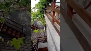 Стоимость аренды жилья в Витязево. Обзор гостевого дома "У Иваныча"