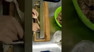 Пельменный пресс