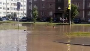 3 девочки купаются в лужи