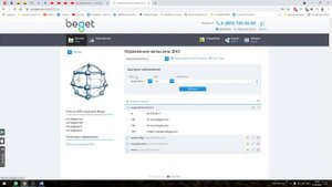Меняем DNS сервера на Хостинге Beget #10