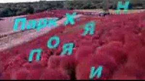 музыка для души мишель легран саксофон музыка