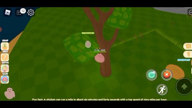 ROBLOX CHICKEN LIFE #002 #roblox #chicken #life #fun #game #gaming #enjoy #gameplay #mobilegame смотреть онлайн