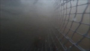 Ловлю раков на кошачий корм. съёмка под водой