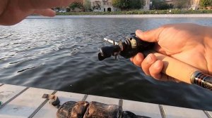 SHIMANO CURADO BFS 2021. Первые впечатления, первые покидушки.