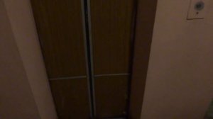 Электрический лифт (г. Королев), V=1 м-с, г-п 320 кг (72)