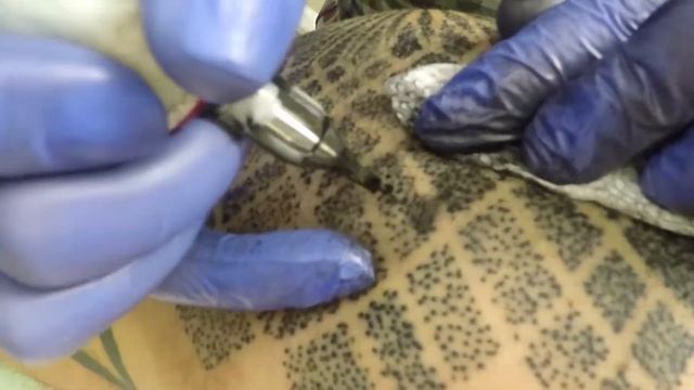 Приятное место)) Дотворк смотреть онлайн