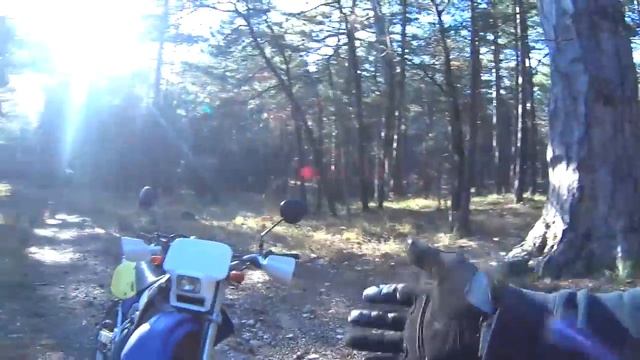 Honda CRM 250RR  Крым "Рай для эндуро" Enduro my Live смотреть онлайн