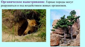 Тема 18. Влияние внешних процессов на формирование рельефа (7 класс)