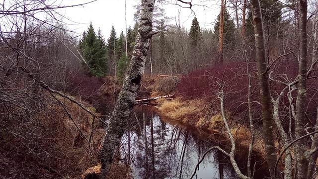На реке смотреть онлайн