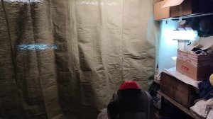 Китайский сухой фен, первый день работы в гараже.