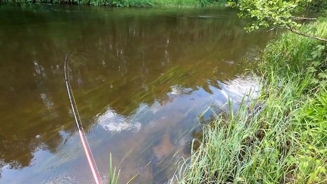 Голавль на воблеры - итоги летнего сезона. Календарь спиннингиста смотреть онлайн