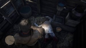 Red Dead Redemption 2 Ред дед редемшн2 загадка в хлеву