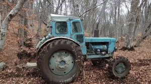 Трактор Т-40АМ Работа в лесу | Буксует в грязи |