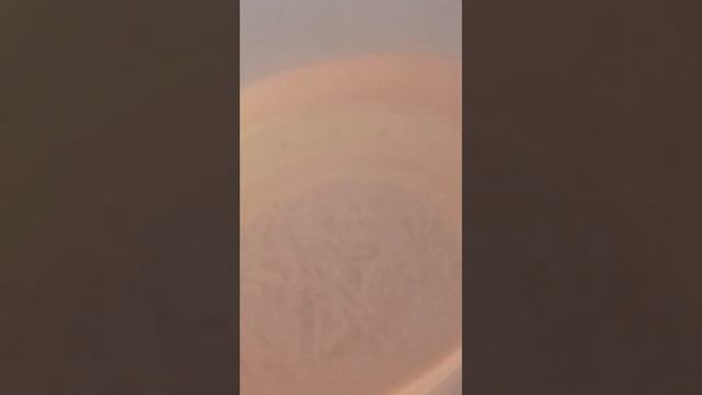 ПАСТА с ЧЕЧЕВИЦЕЙ. смотреть онлайн