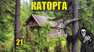 ТАЙГА ИЗБА УБИТОГО ЛЕСНИКА ПРОКЛЯТЫЙ СТАРЫЙ ДОМ ЗАКЛЮЧЁННЫЕ в ЛЕСУ ИСТОРИИ из ЖИЗНИ СЕРИАЛ 21