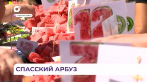 Арбузный король, ярмарка и дегустация: фестиваль арбузов прошёл в Приморье