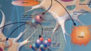 Что вы знаете о гречке с кефиром?