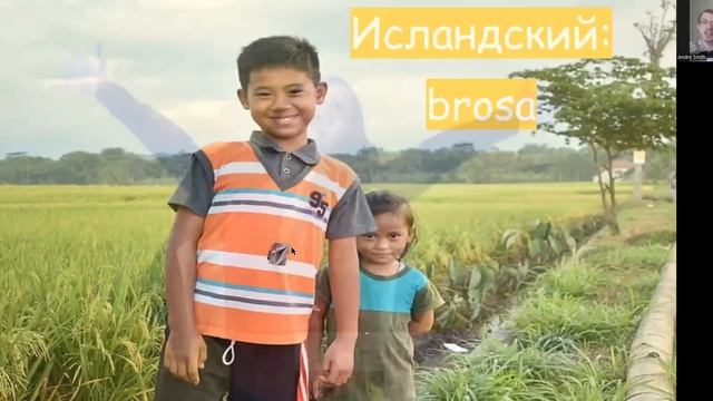 Smile Rules смотреть онлайн