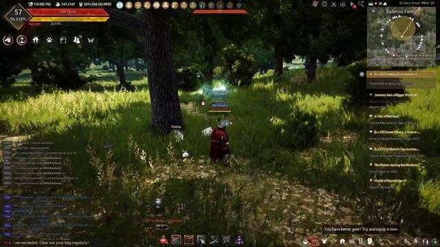 BDO Sweet Honey, a Source of Power смотреть онлайн