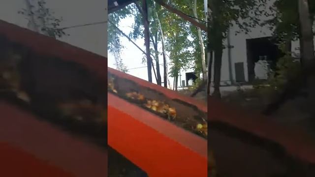 Калибровка лука репчатого