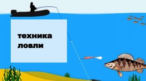 Ловим судака: советы эксперта?