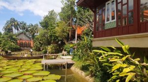 Ma Doo Bua кафе - озеро лилий и кувшинок на Пхукете в Таиланде