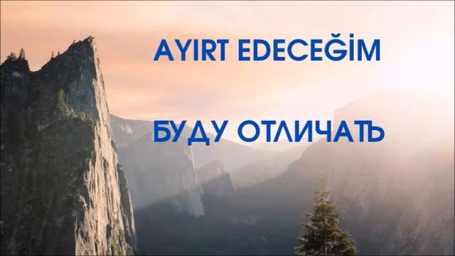 Турецкий язык. Rusça fiiller. Турецкий словарь. Турецкие глаголы (67)