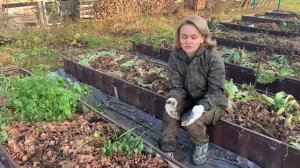 Подготовка грядок к зиме