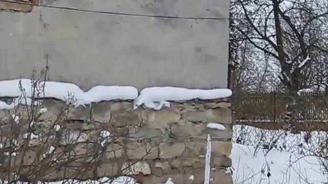 Стан хати на січень 2012 смотреть онлайн