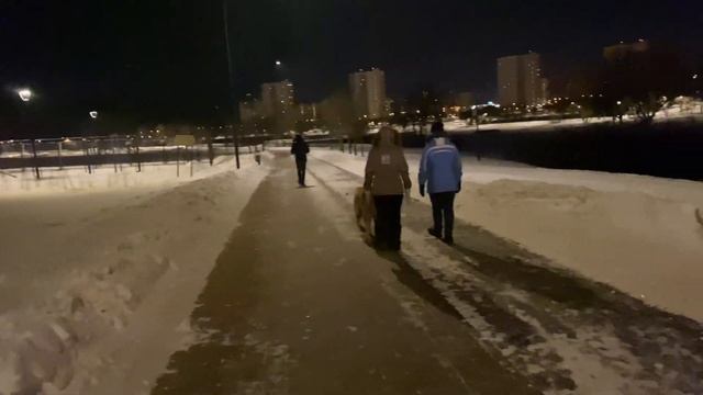 Здоровенный алабай без намордника и поводка гуляет по парку Южного Бутово, Москва. Для DIAMOND SOCH