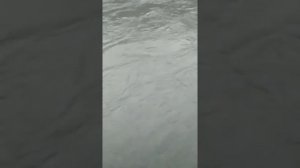 отличная рыбалка на усача Чечня