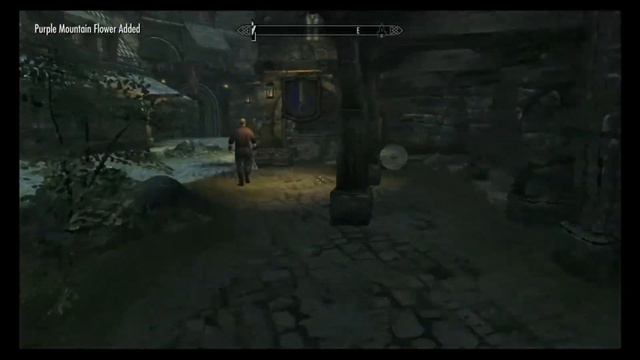 Steal Everything | The Elder Scrolls V: Skyrim | Part 1 смотреть онлайн