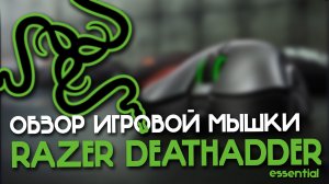 RAZER DEATHADDER Essential. Макросы от Рейзер для игр.