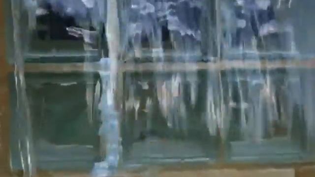 captiva смотреть онлайн