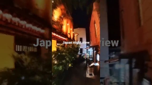 【Insta360 one x2】Japan night view Tokyo Kagurazaka Omotesando 4K