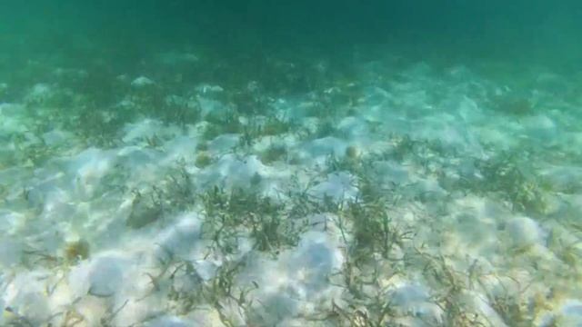 Memories Flamenco Beach Resort Cuba Cayo Coco. смотреть онлайн