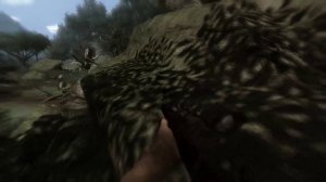 Far Cry 2 (with New Dunia Enhancement mod) Part 2