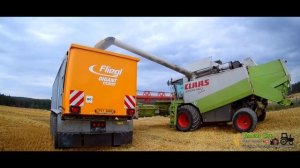 [Niceboy Vega 4K] Harvest 2017 - Barley and rapeseed | Třemošenská a.s. | 3x Claas Lexion, ... |