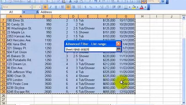 Excel 2003: Advanced Filter