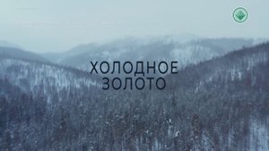 «Сахафильм» выпустит киноленту про ограбленный Алданский прииск