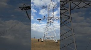Освобождение пострадавшего от воздействия электрического тока