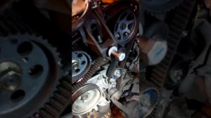 Замена ремня ГРМ фиат добло мультиджет