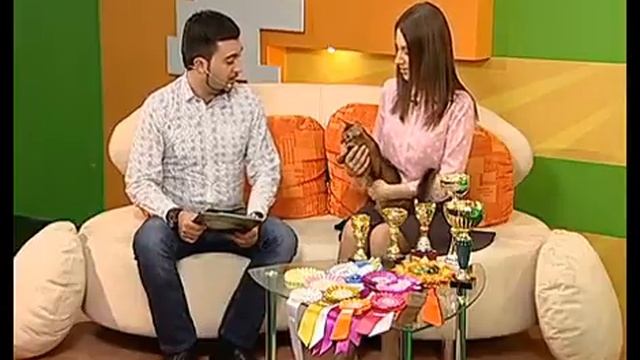 Гость в студии смотреть онлайн