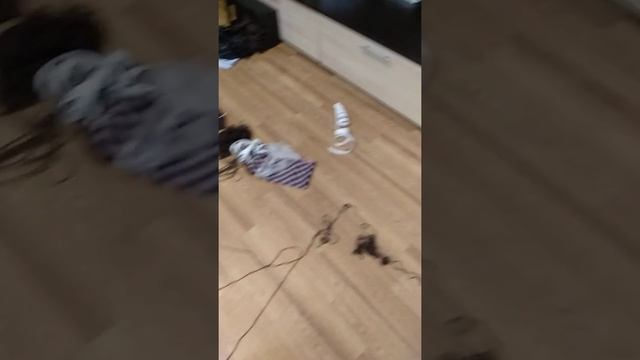 Цвергпинчер - Когда остаёмся дома одни смотреть онлайн