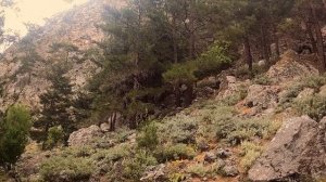 Agia Irini Gorge Crete