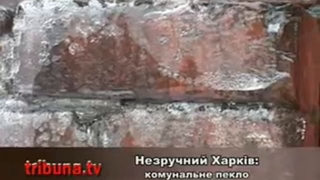 коммунальный ад смотреть онлайн